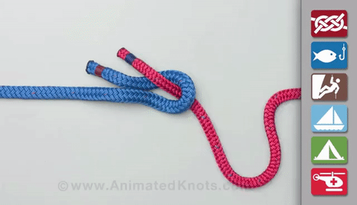 animated knots