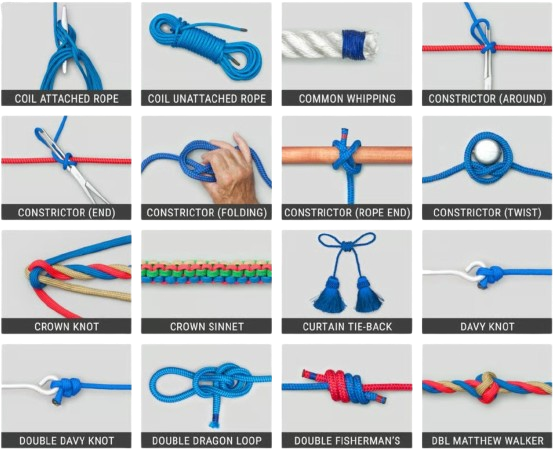 animatedknots