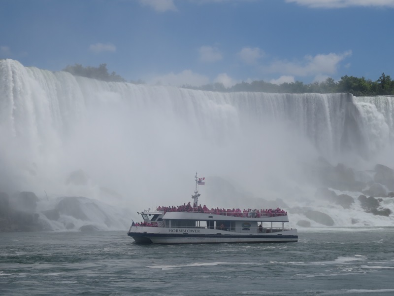 Hornblower Cruise